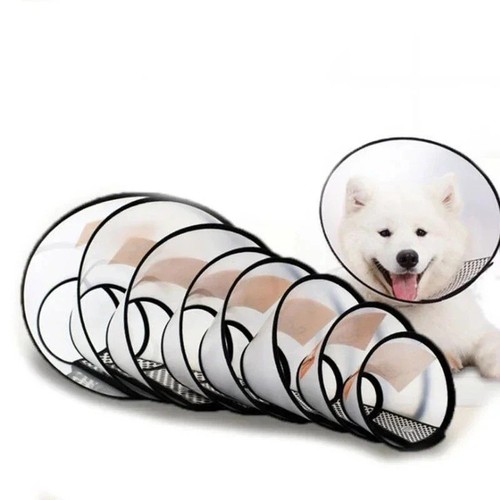 Elizabethan pet protective - elizabethan,