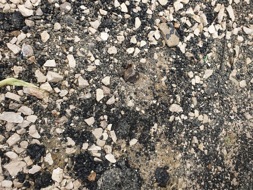 Free rubble bricks wanted - free,