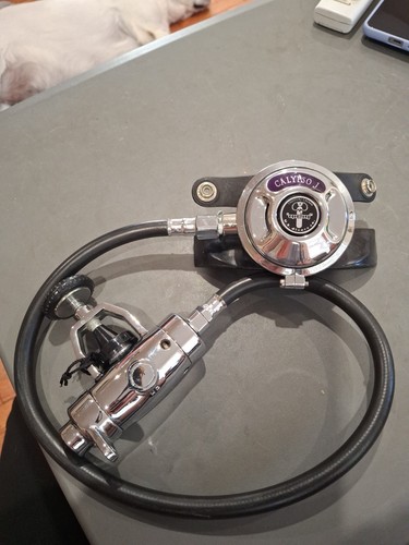 Aqua lung divers - aqua,