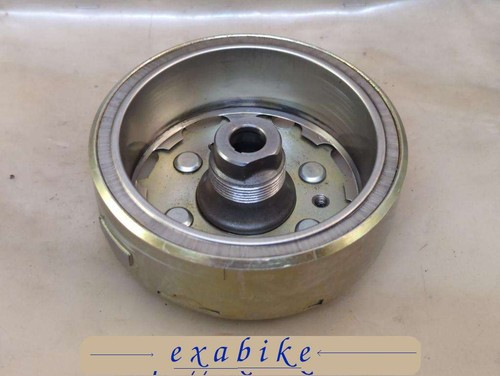 Alternator rotor for - alternator,