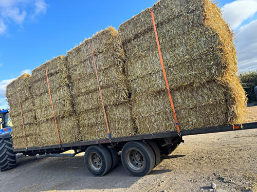 Straw bales - ,