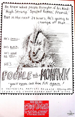 Poodle with mohawk poster - a,