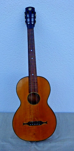 Vintage guitar walking - vintage,