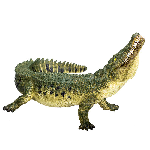 Crocodile with articulated - articulated, jaw