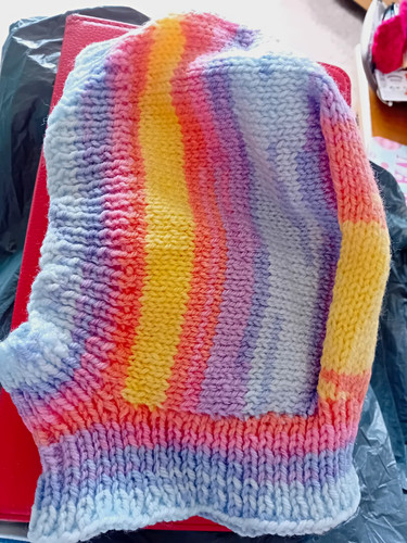 Multicolour striped knit - multicolour,