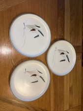 Denby Greenwheat Dinner Plates