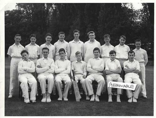 Vintage photo group - vintage,