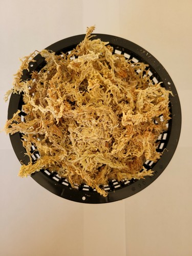 Inch net pot with new - 6,