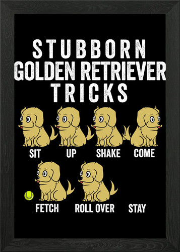 Golden retriever tricks framed - retriever,