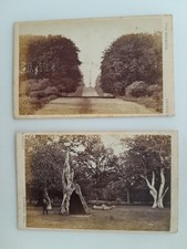 2 x CDV: Outdoor Trees: Alfred & Edward Seeley: Surrey & London