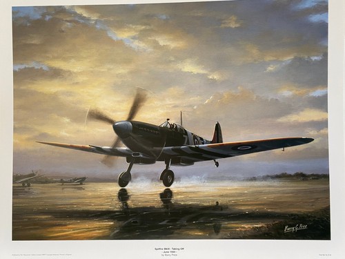 Raf aviation art print - aviation,