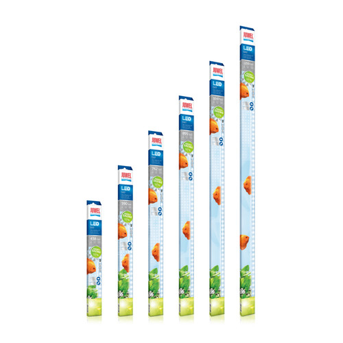 Juwel led day - bulb, multilux