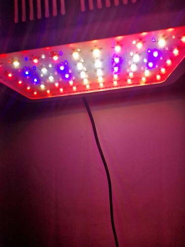 600 watt led - watt, growlight