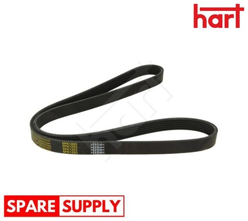 Ribbed belt for - belt, audi