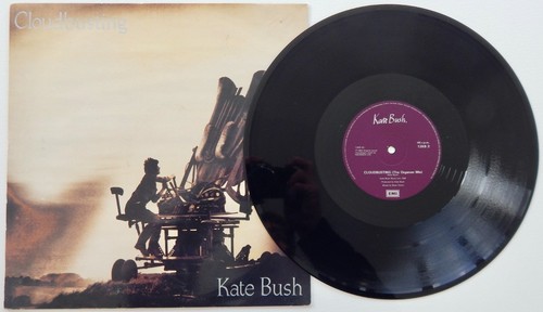 Kate bush cloudbusting - bush,