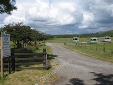 Photo 6x4 Elderberry Static