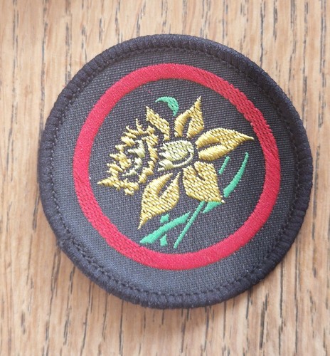 Girlguiding old daffodil guide - girlguiding,