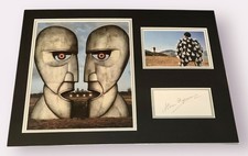 SIGNED STORM THORGERSON PINK