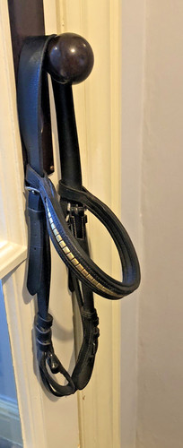 Bridle parts headpiece - bridle,
