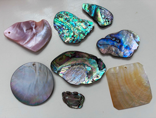 Multicolour shell pendant - shell,