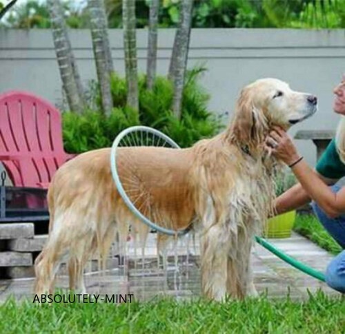 360 degree dog washer - dog, bath
