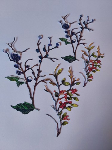 Two red robins - red, berries