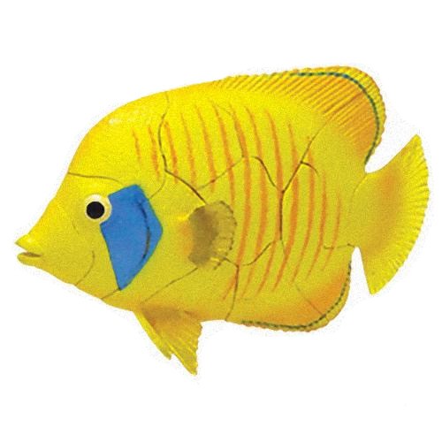 Butterfly tropical fish 3d - butterfly,