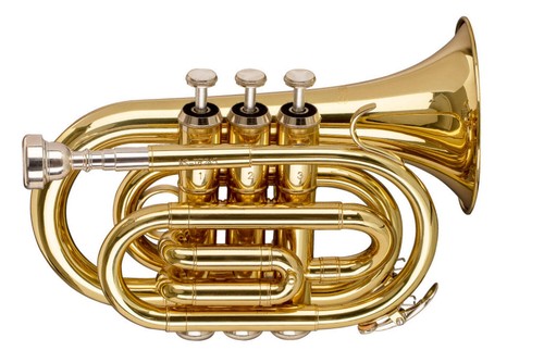 Stagg pocket trumpet - stagg,