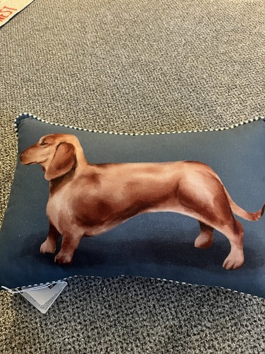 Beautiful dachshund cushion - beautiful,