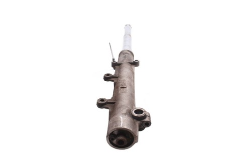 Fork stanchion left - , damper
