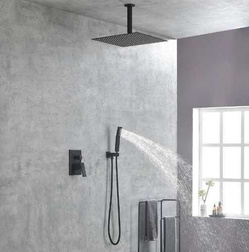 Single handle spray - single, ceiling