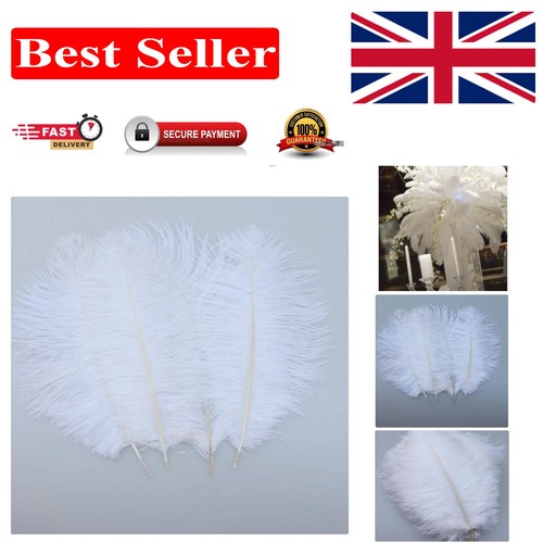 Pcs wispy white - white, ostrich