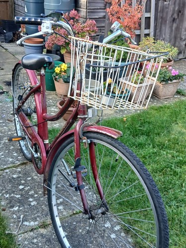 Raleigh chiltern ladies bike - ladies,