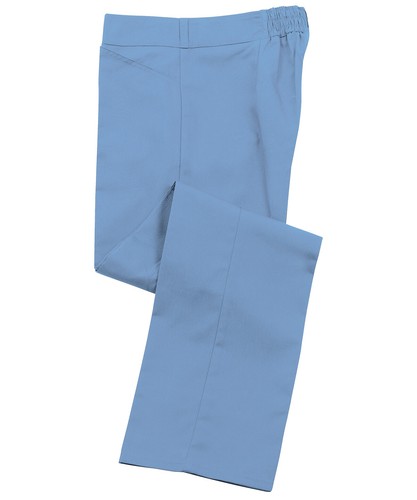 Ladies healthcare nurses - healthcare,