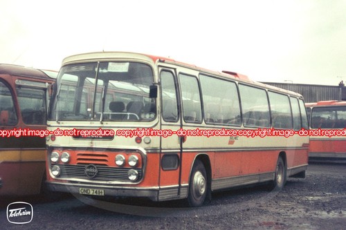 Bus coach photo selnec - bus,