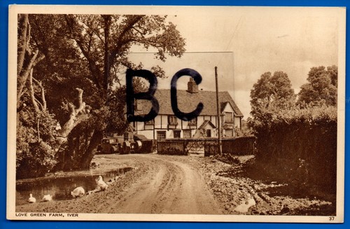 Postcard love green farm iver - green,