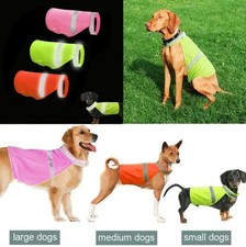 High Visibility Safety Dog