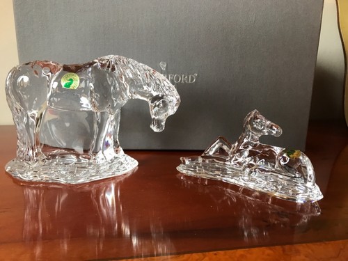 Waterford mother and - waterford, foal