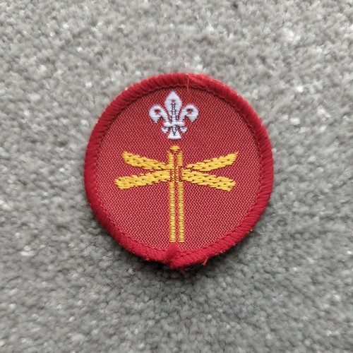 Cub scout proficiency badge - cub,