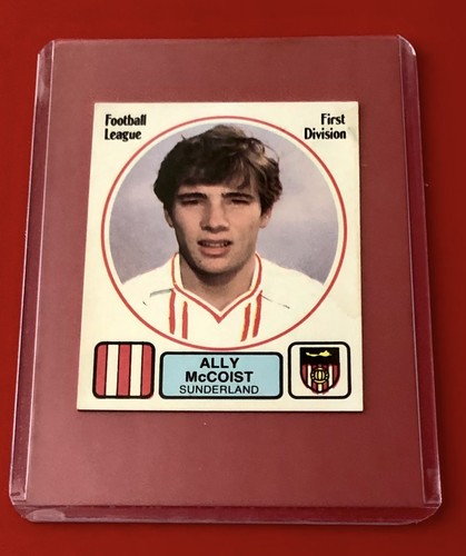 Panini football sticker - panini,