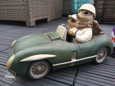 Meerkats In Car Vivid Arts