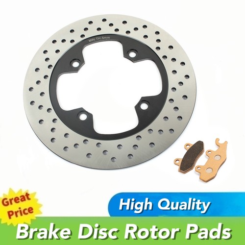 Rear brake disc - brake, for