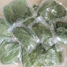 Dried Soursop Graviola Leaves