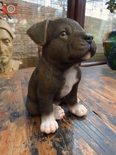 STAFFORDSHIRE BULL TERRIER