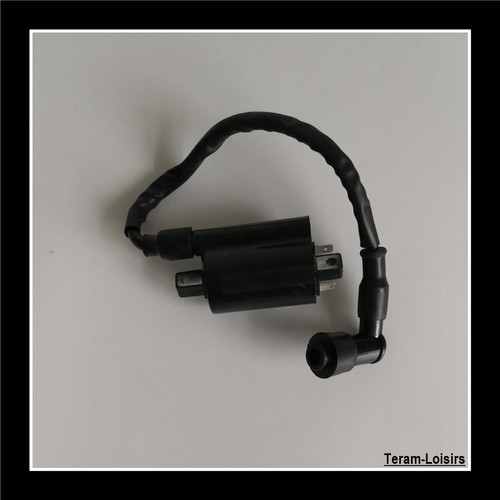 Ignition coil for suzuki - ignition,