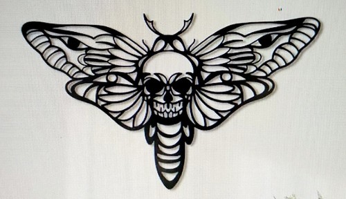 Deaths head moth - deaths, wall