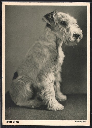 Postcard our bobby - our, bobby,