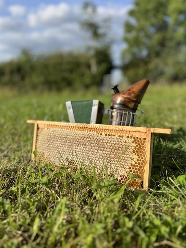 Raw organic british - raw, honeycomb