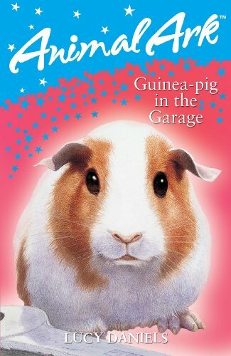 Guinea pig the garage - in,