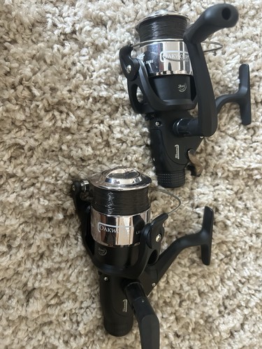 Carp fishing - carp,